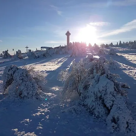 Apartment With 2 Bedrooms Willingen (Upland)