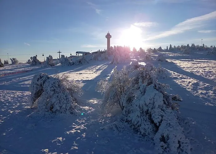 Apartment With 2 Bedrooms Willingen (Upland)